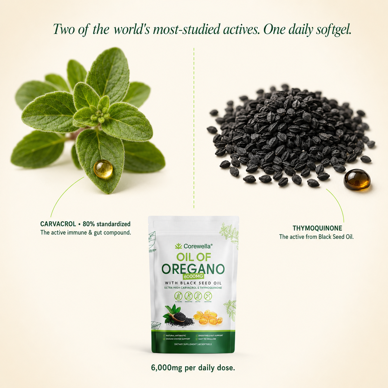 Oil Of Oregano